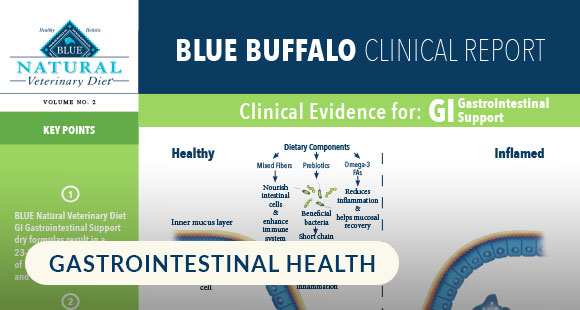 BlueBuffalo_NVD_ClinicalReport_GI