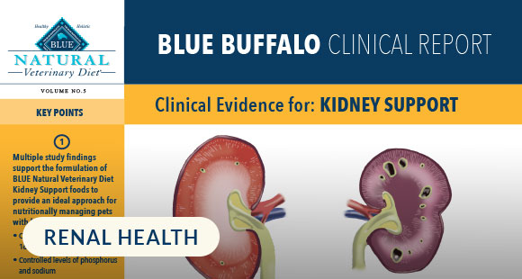 BlueBuffalo_NVD_ClinicalReport_KidneySupport