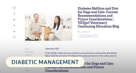 Diabetes-Mellitus-and-Diet-for-Dogs-and-Cats