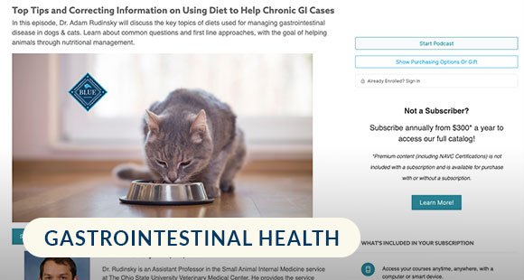 GI-Using-Diet-to-Help-Chronic-GI-Cases