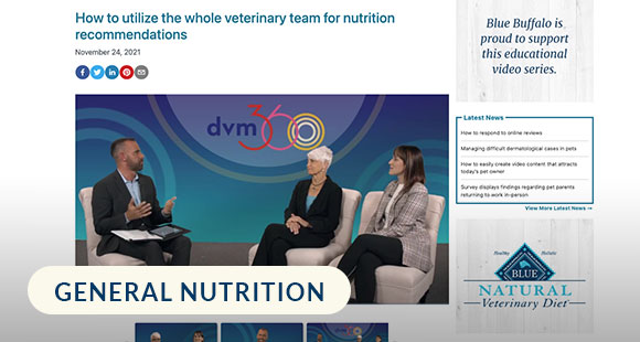 How-To-Utilize-the-Whole-Veterinary-Team-For-Nutrition-Recommendations