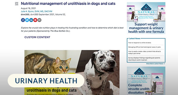 Nutritional-Management-of-Urolithiasis-in-Dogs-and-Cats
