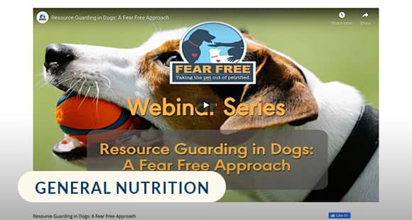 Resource-Guarding-in-Dogs-A-Fear-Free-Approach