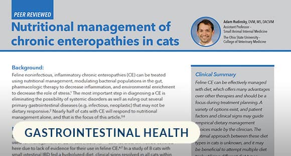 Effective-Management-of-Chronic-Enteropathies-in-Cats