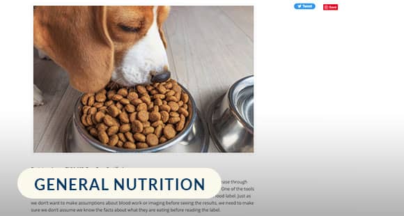 Communicating-the-Importance-of-Understanding-Nutrition-Labels