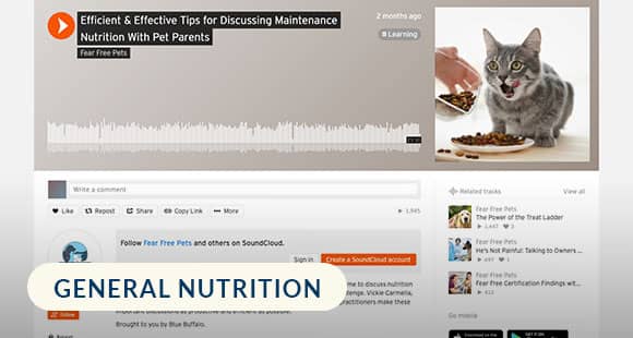 Efficient-and-Effective-Tips-for-Discussion-Maintenance-Nutrition-with-Pet-Parents