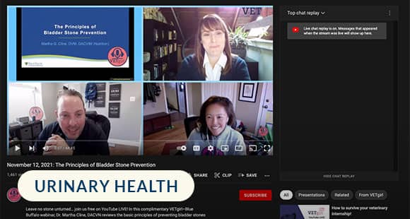 Principles-of-Bladder-Stone-Prevention