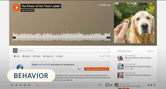 The-Power-of-the-Treat-Ladder