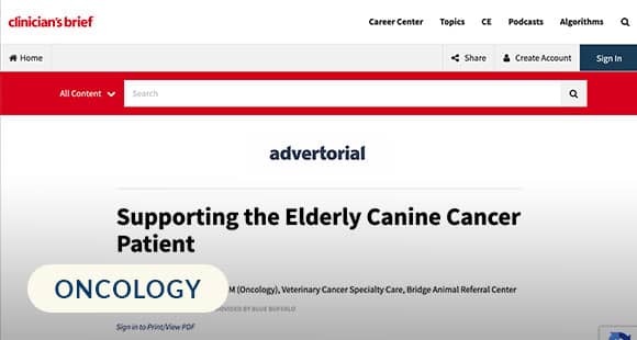 Supporting the Elderly Canine Cancer Patient